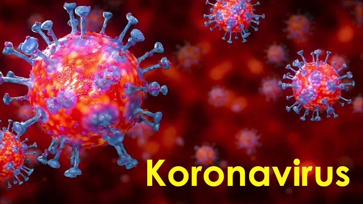 ARNO a koronavirus 2020